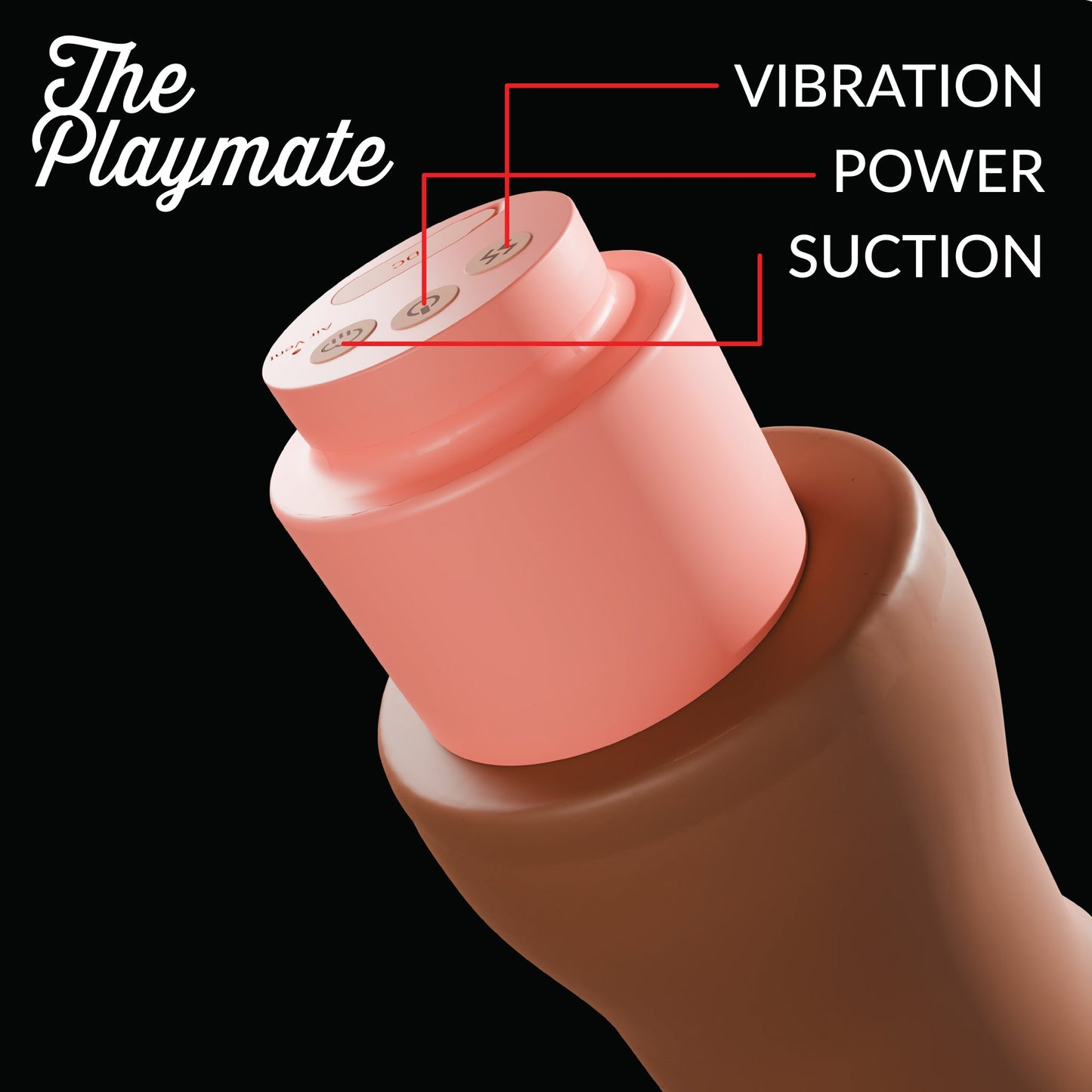 THE PLAYMATE