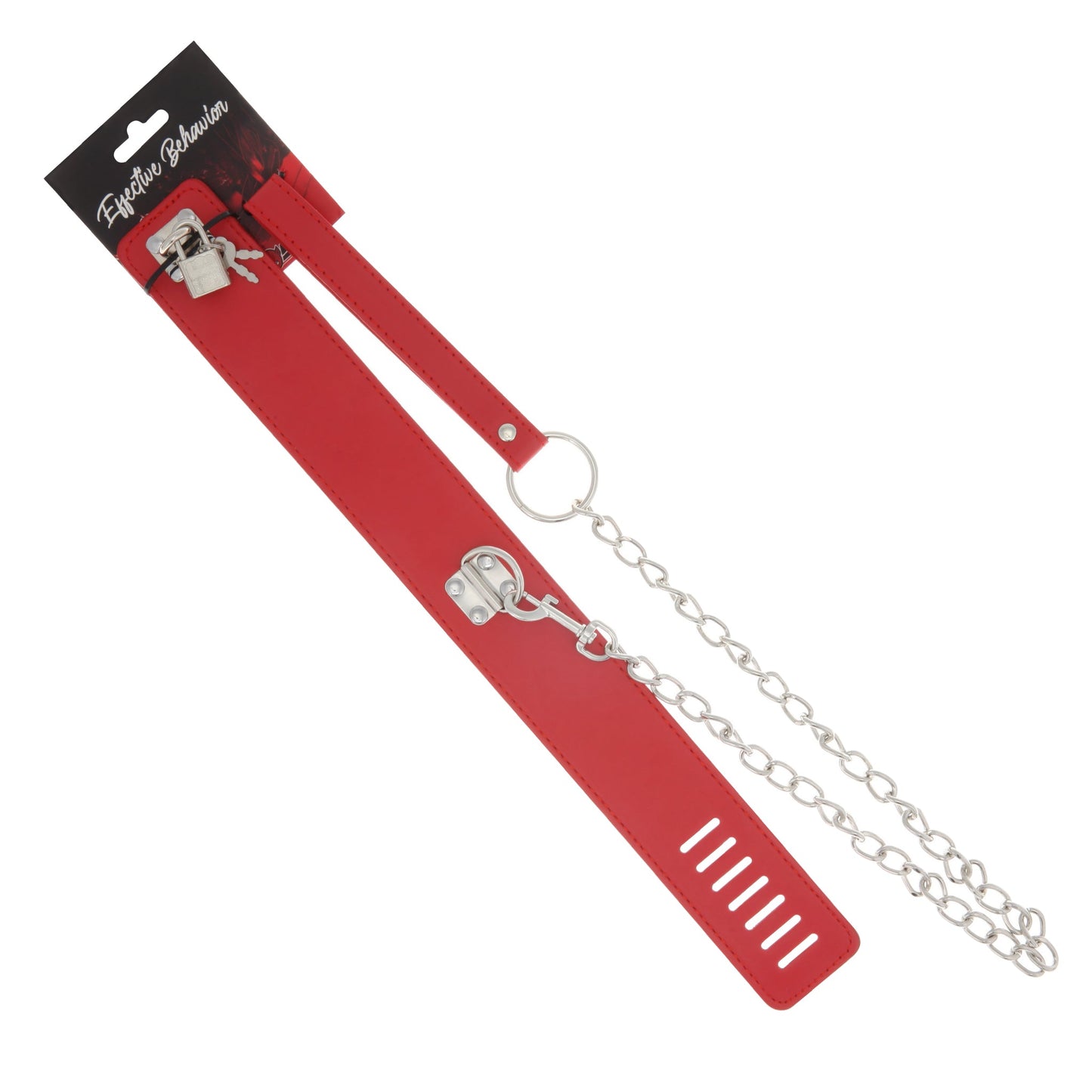 COLLAR W/LOCK AND LEASH