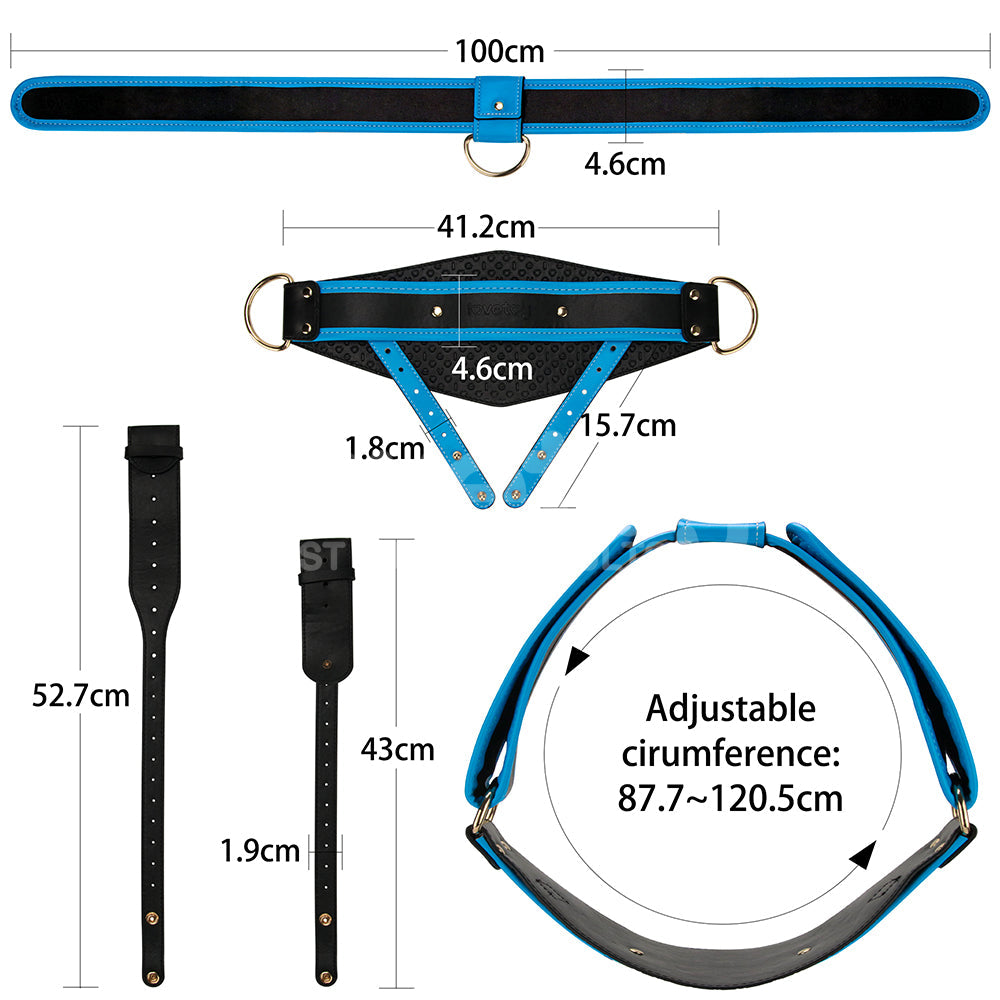 INGEN 10" HOLLOW STRAP ON HARNESS SET