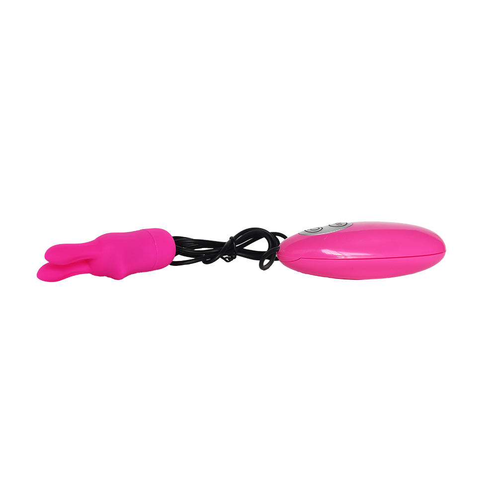 Flurry Bullet Vibrator with Wired Remote