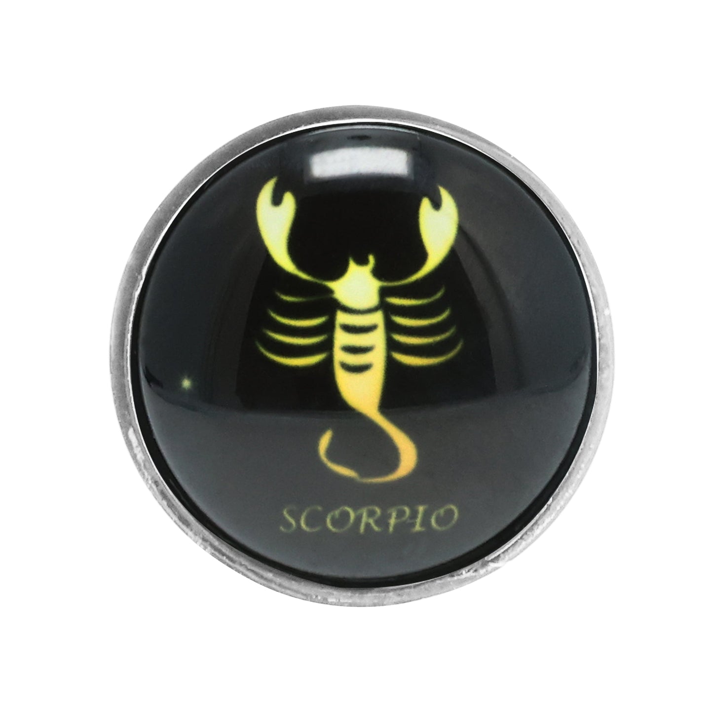 Zodiac Stainless Butt Plug