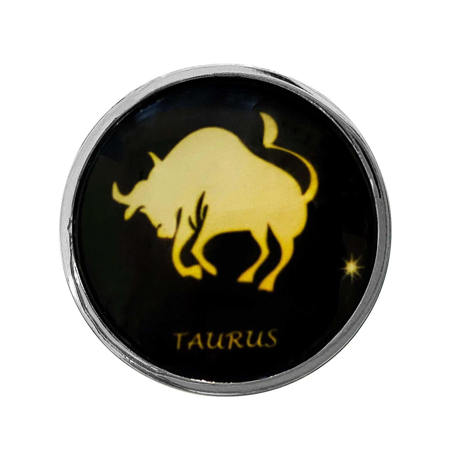 Zodiac Stainless Butt Plug