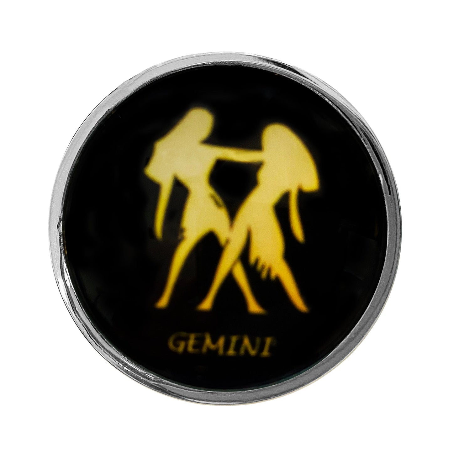 Zodiac Stainless Butt Plug