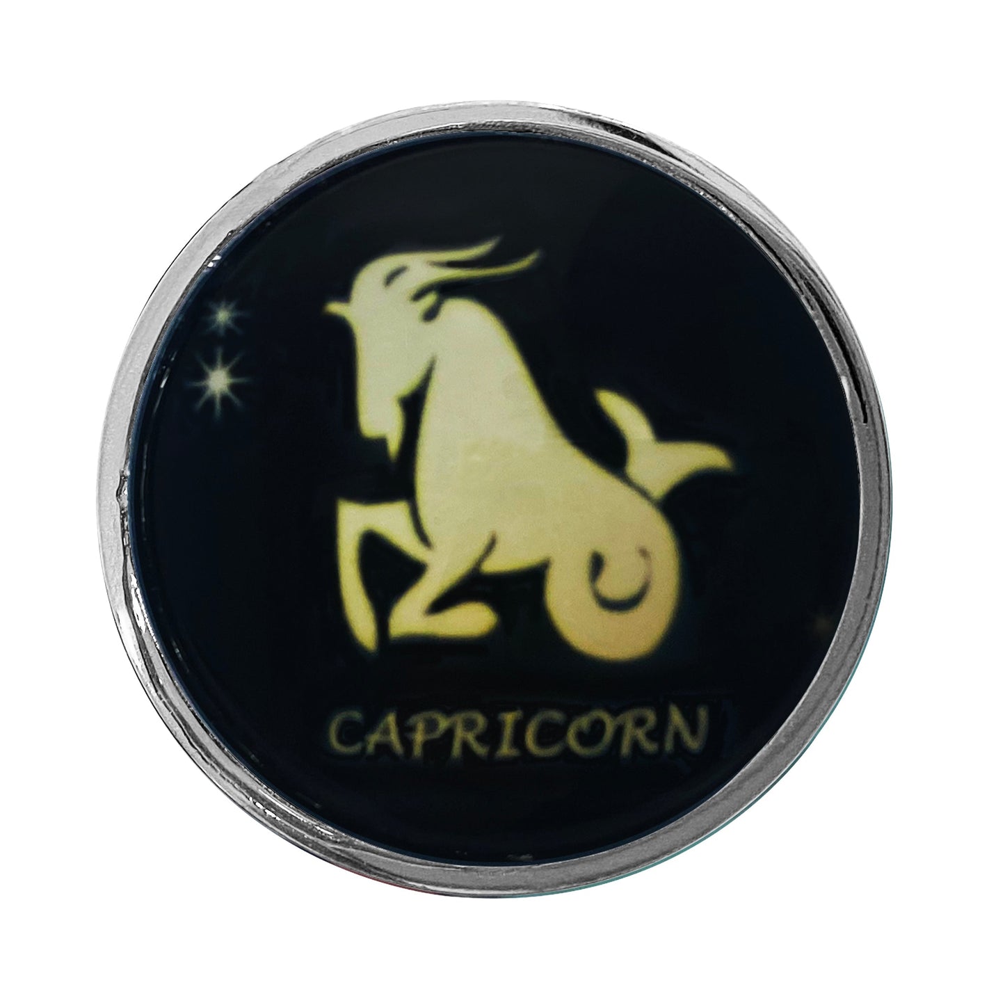 Zodiac Stainless Butt Plug
