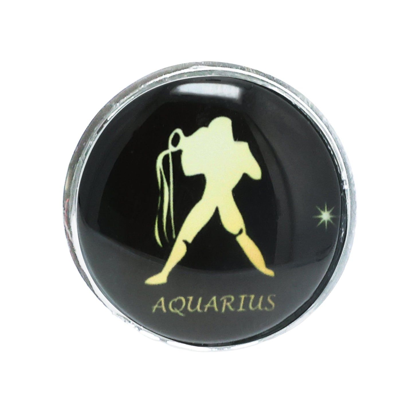 Zodiac Stainless Butt Plug