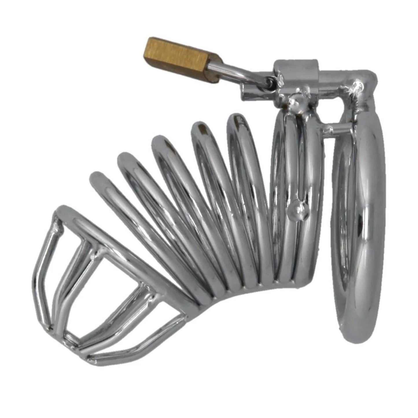 Locking Penis Cage