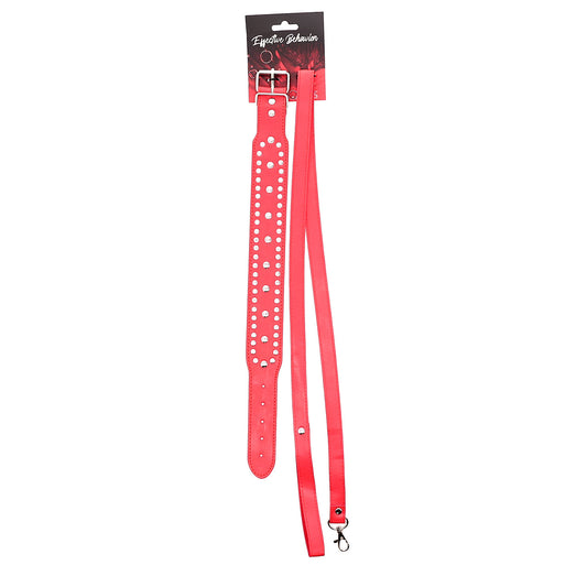 EFECTIVE BEHAVIOR FAUX LEATHER COLLAR/LEASH