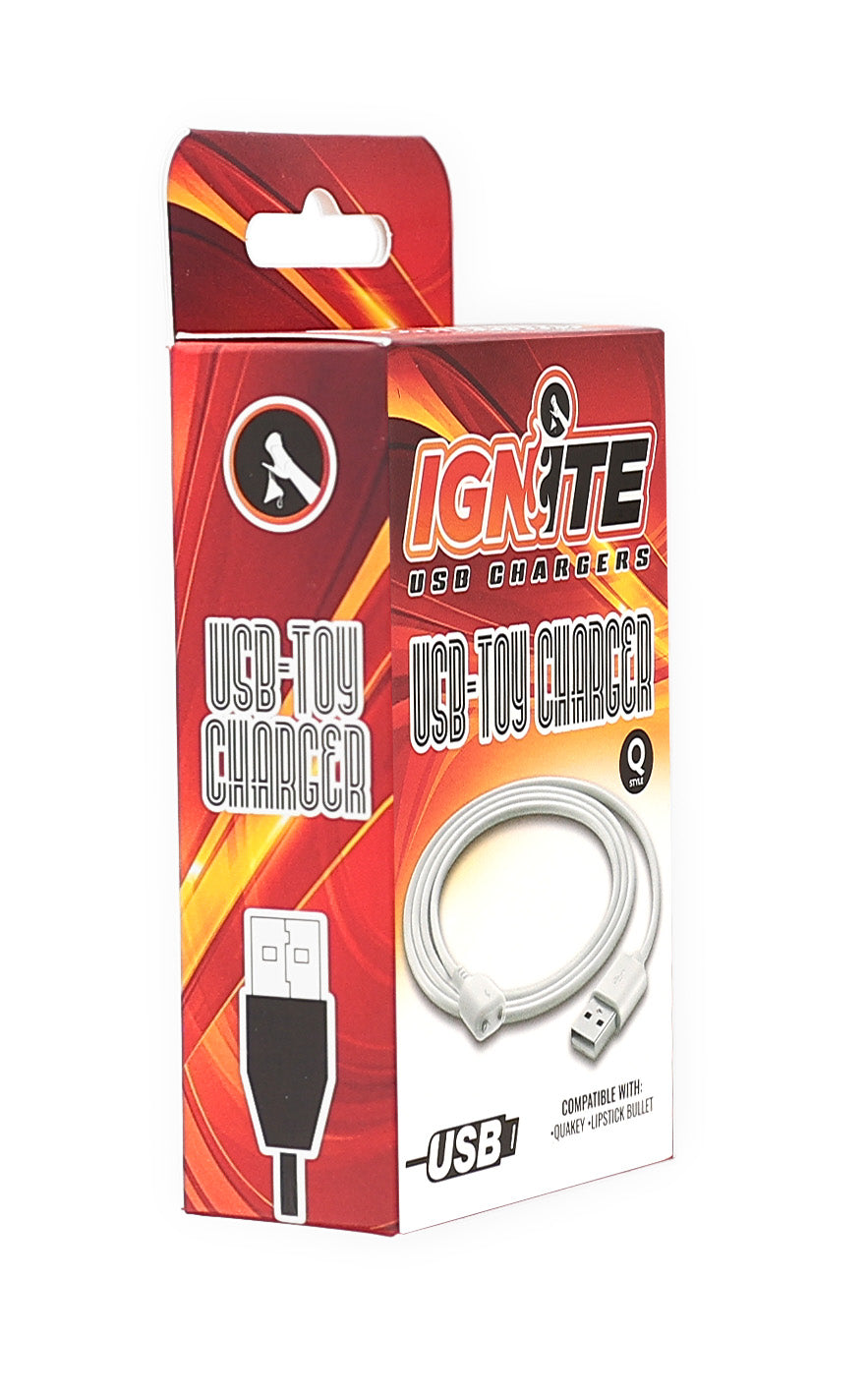 USB TOY CHARGER Q IGNITE